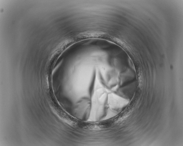 X0000078250254200611171530