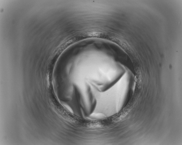 X0000078250262200611171531