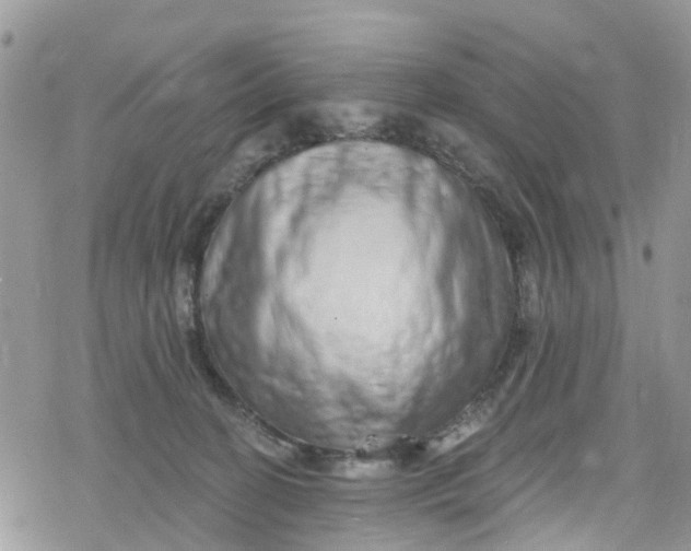 X0000078250274200611171531