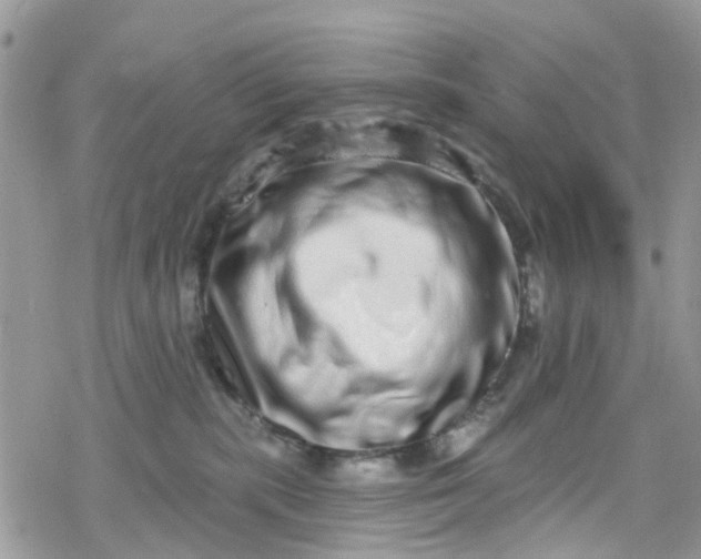 X0000078250283200611171531