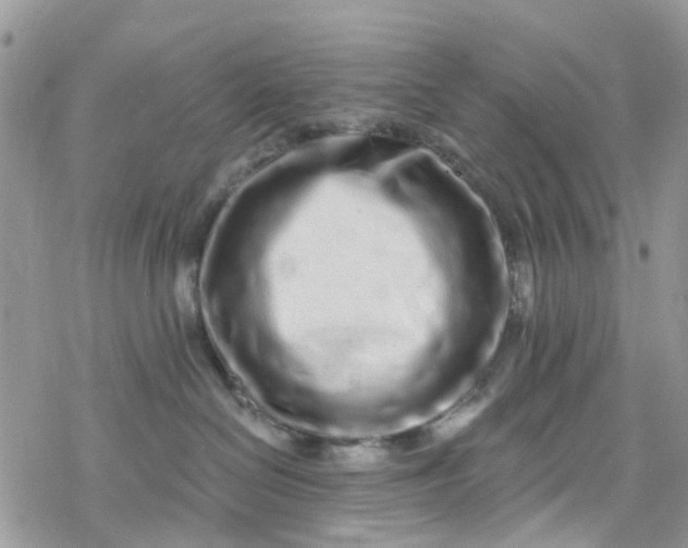X0000078250286200611171531