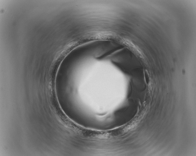 X0000078250306200611171530