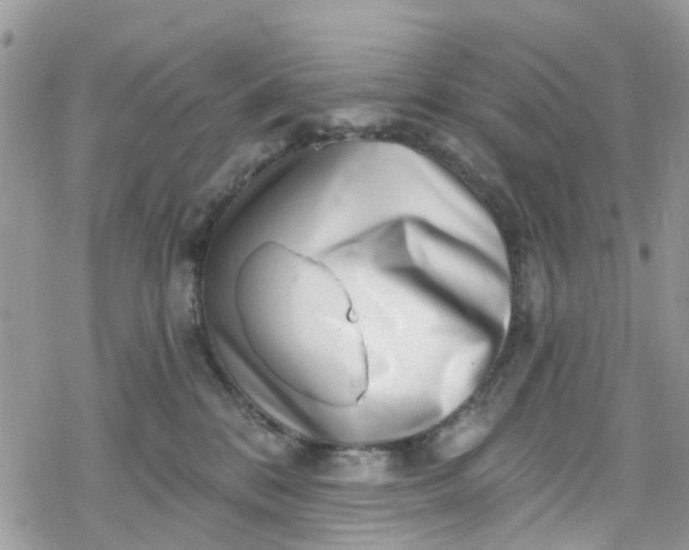 X0000078250328200611171530