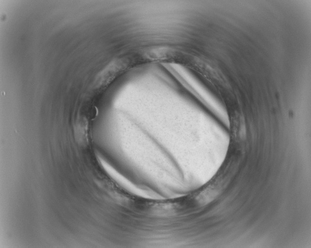 X0000078250332200611171530