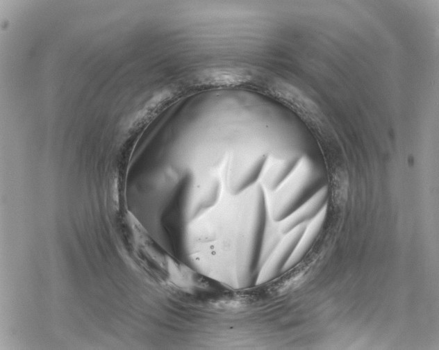X0000078250358200611171529