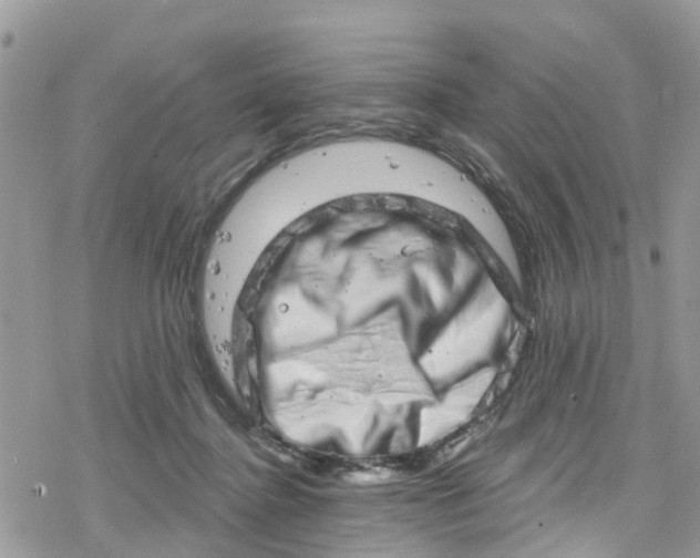 X0000078250364200611171529