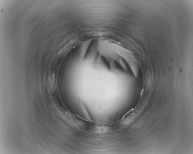 X0000078250376200611171529