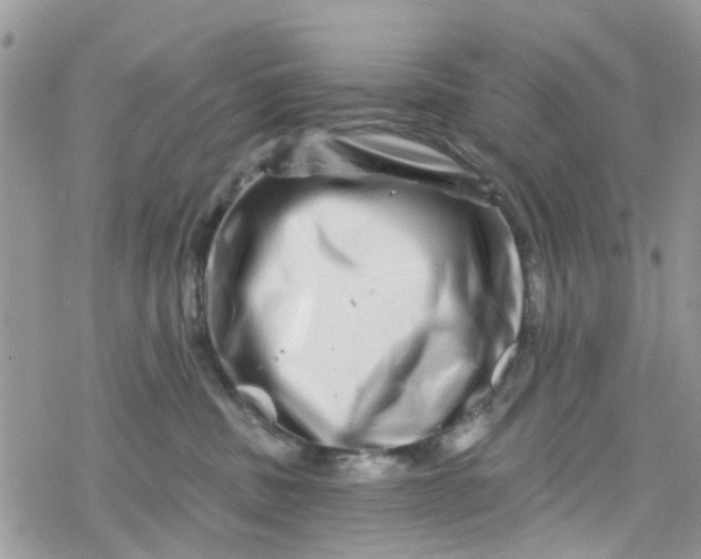 X0000078250379200611171529
