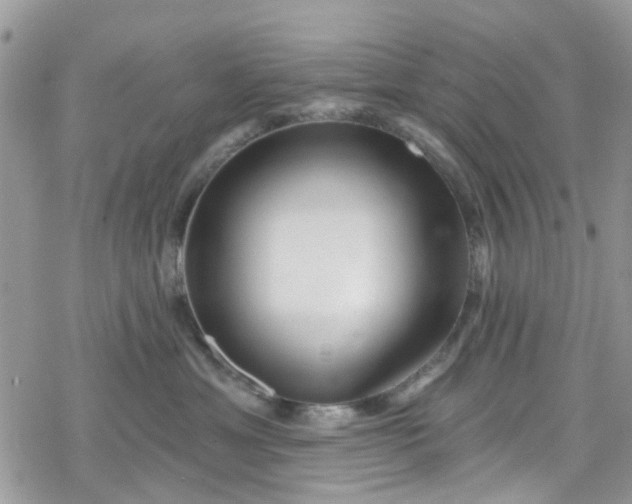 X0000078250429200611171528