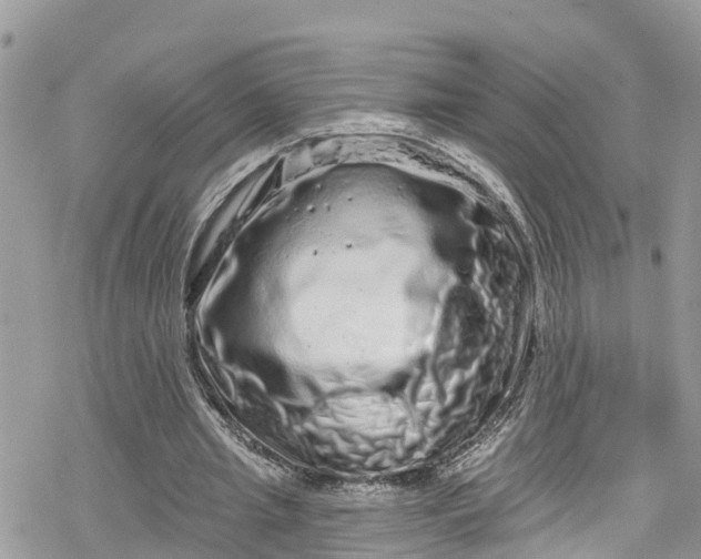 X0000078250437200611171527