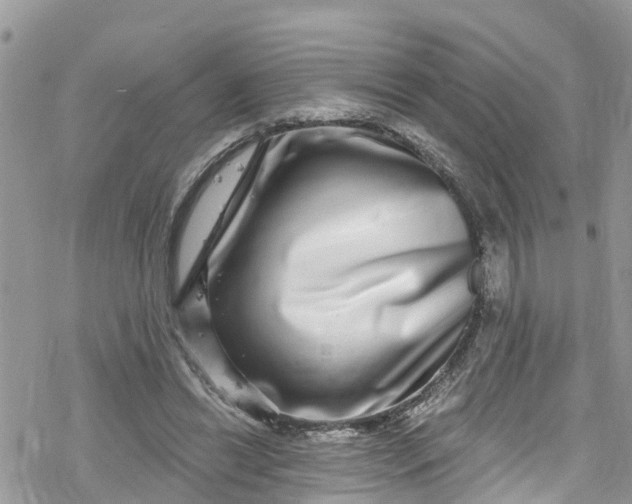 X0000078250446200611171527