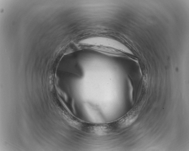 X0000078250462200611171528
