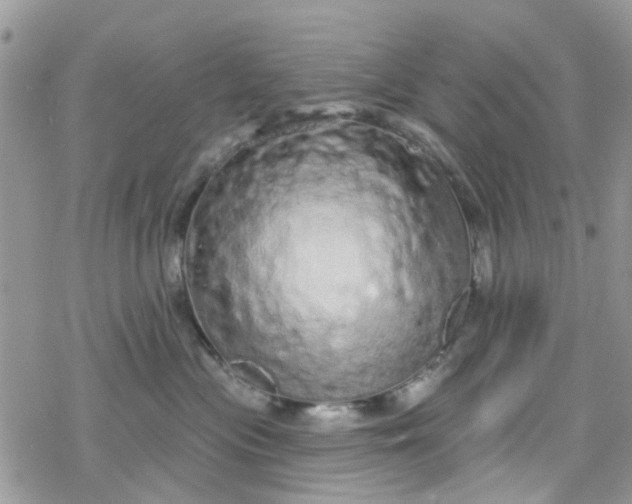 X0000078250477200611171528