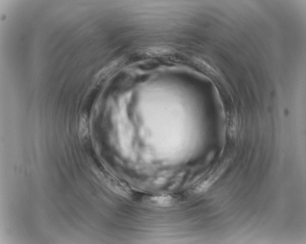 X0000078250478200611171528