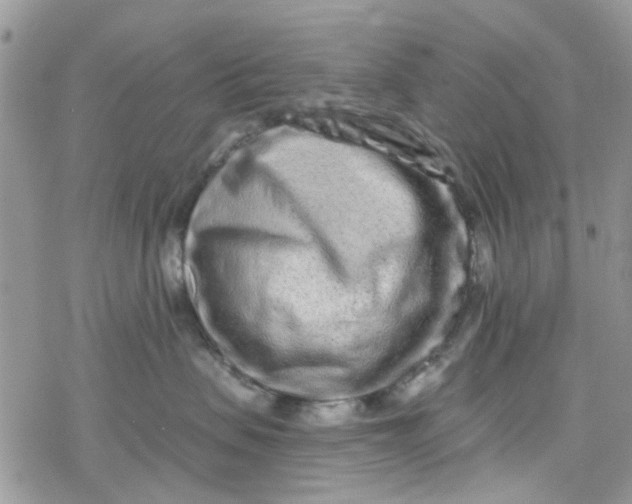X0000078250479200611171528