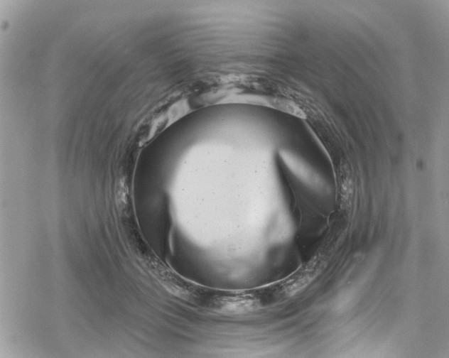 X0000078250555200611171526