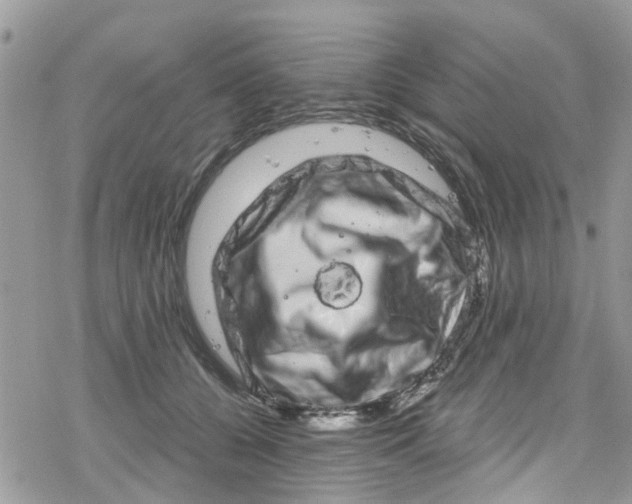 X0000078250560200611171526
