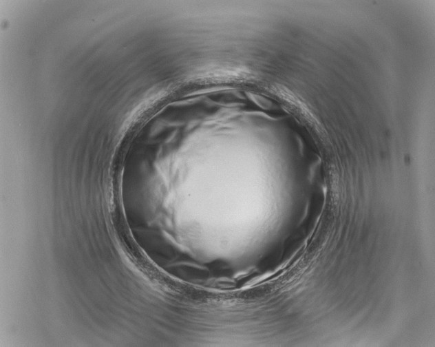 X0000078250582200611171525