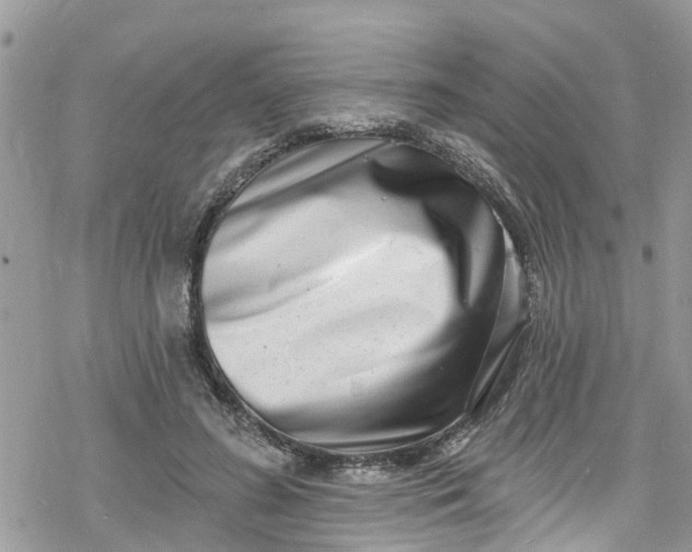 X0000078250596200611171525
