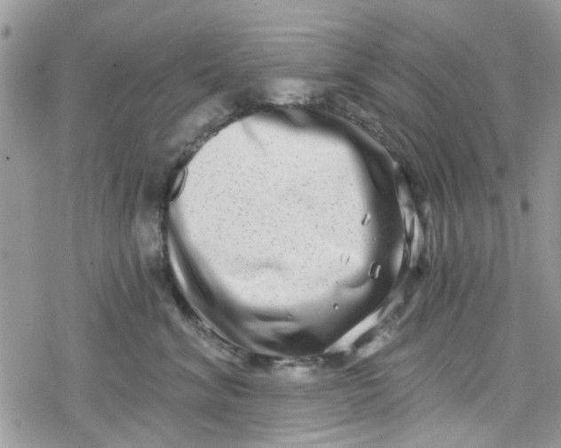 X0000078250620200611171525