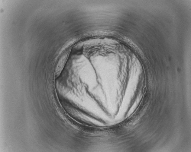 X0000078250625200611171524
