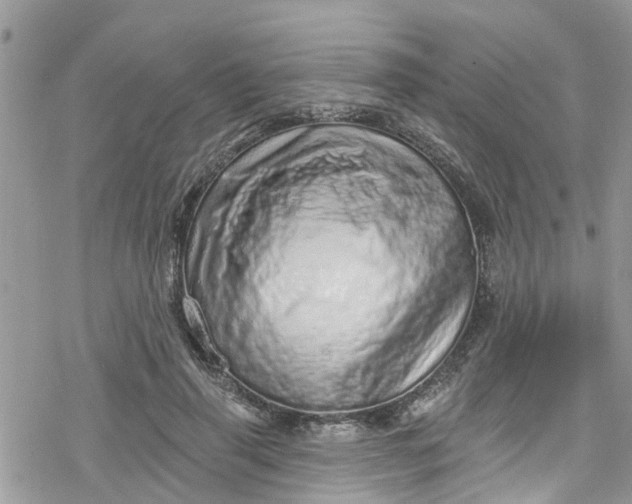 X0000078250645200611171524