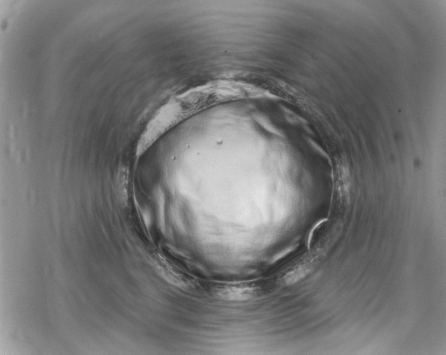 X0000078250664200611171525