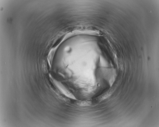 X0000078250670200611171525