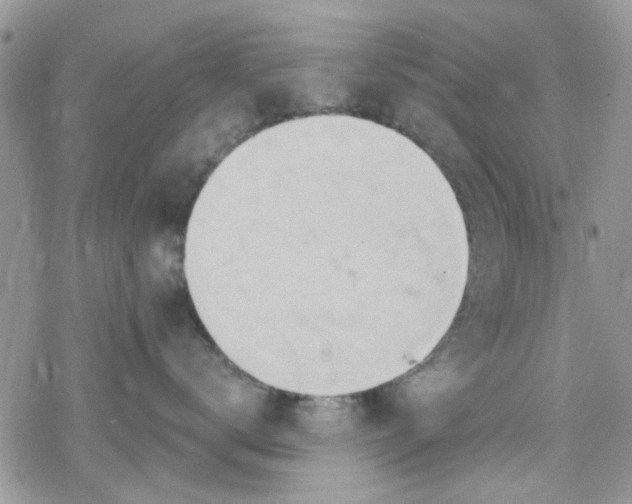 X0000078250672200611171525
