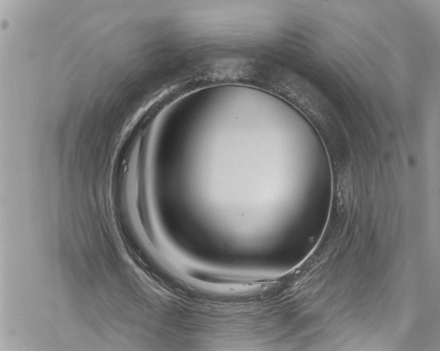 X0000078250722200611171522