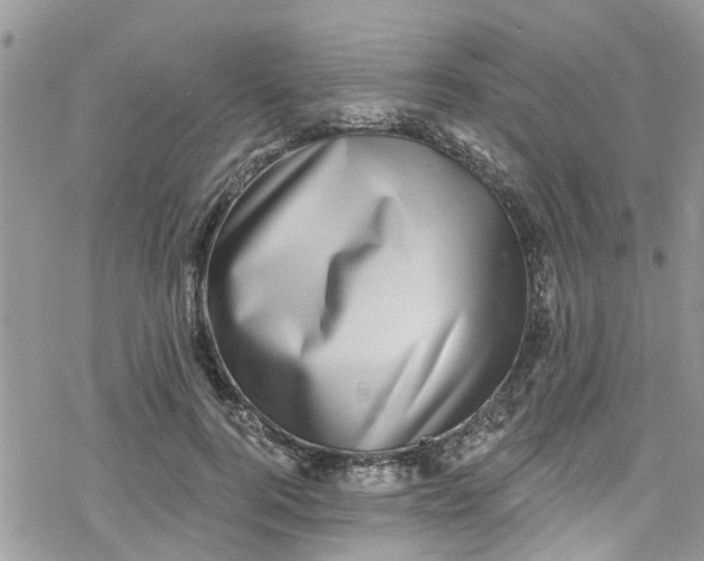 X0000078250744200611171523