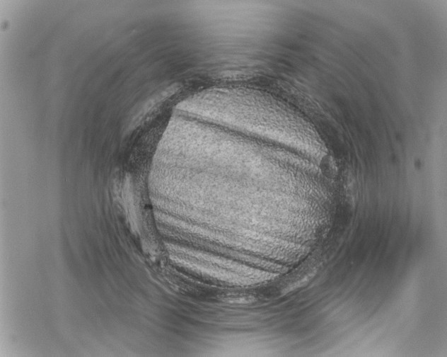 X0000078250746200611171523
