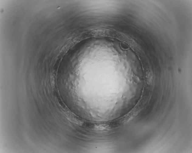 X0000078250753200611171523