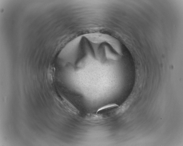 X0000078250768200611171523