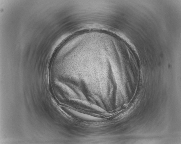 X0000078250791200611171522