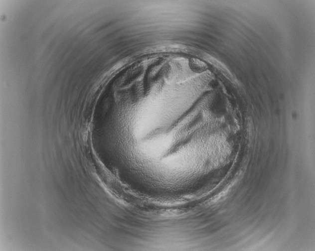 X0000078250841200611171521
