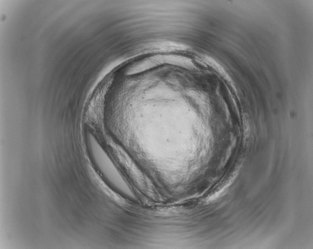 X0000078250843200611171521