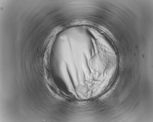X0000078250849200611171521
