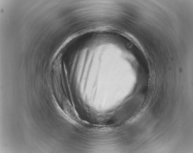 X0000078250851200611171521