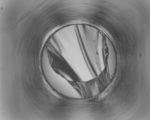 X0000078250854200611171522