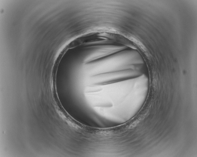 X0000078250888200611171521