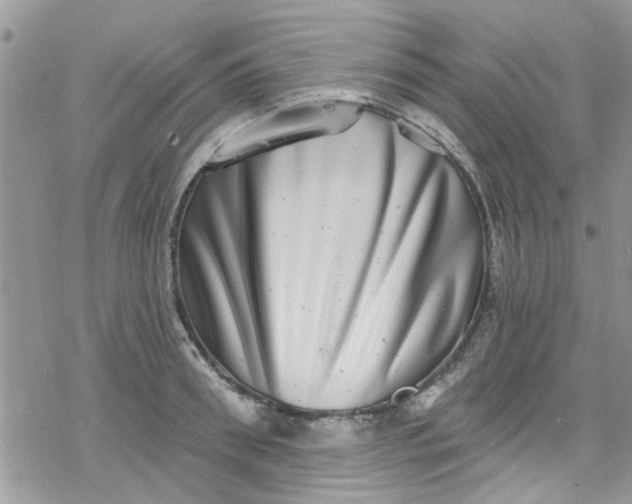 X0000078250898200611171520