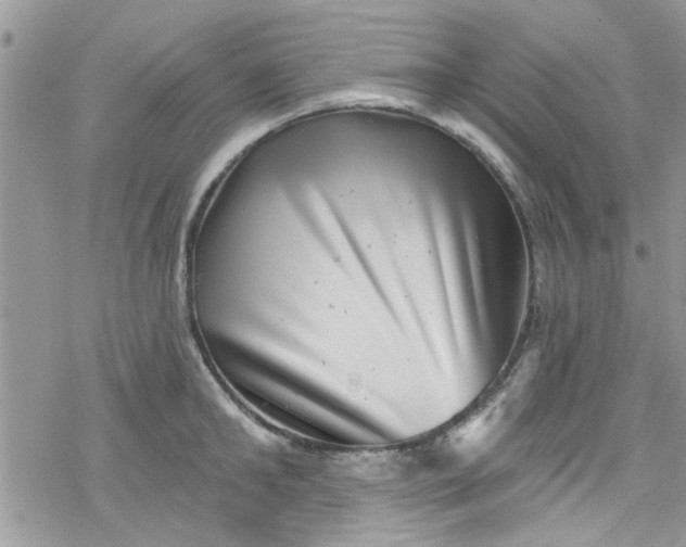 X0000078250902200611171520