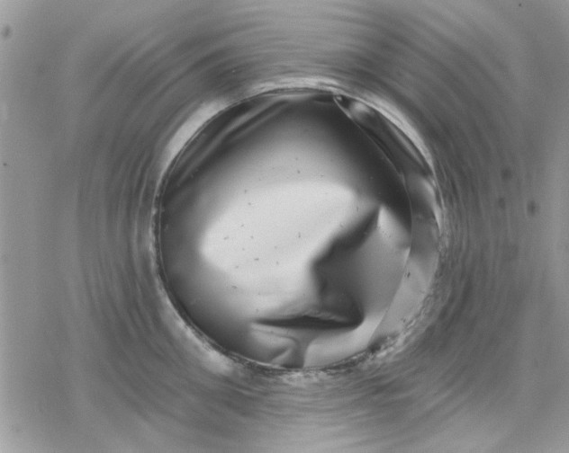 X0000078250906200611171520
