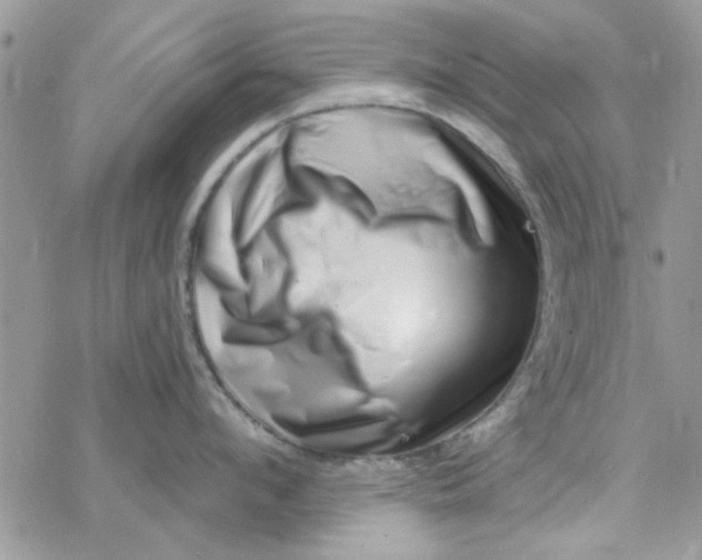 X0000078250912200611171520