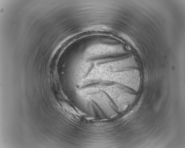 X0000078250923200611171519