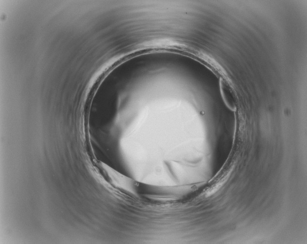 X0000078250939200611171520