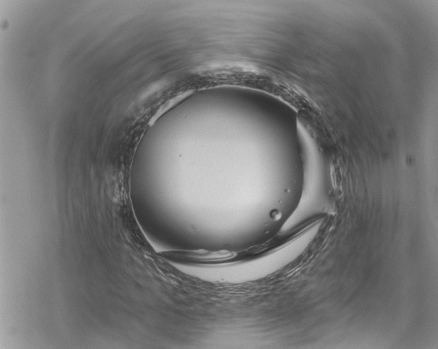 X0000078250965200611171519