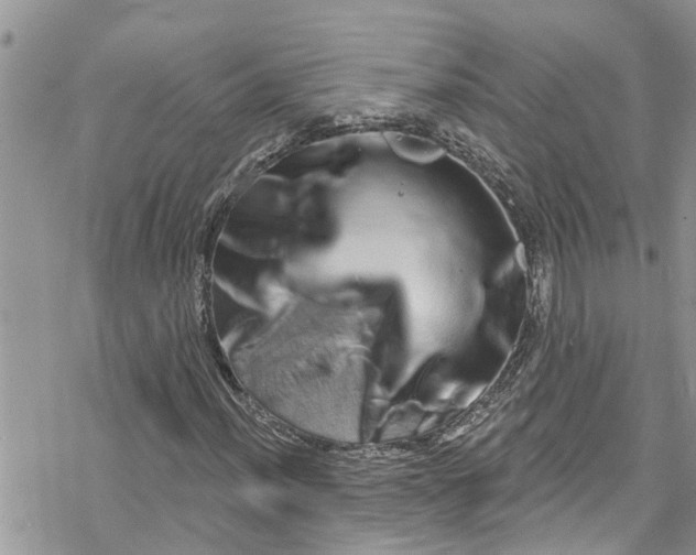 X0000078251012200611171518
