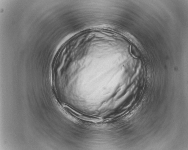 X0000078251036200611171518